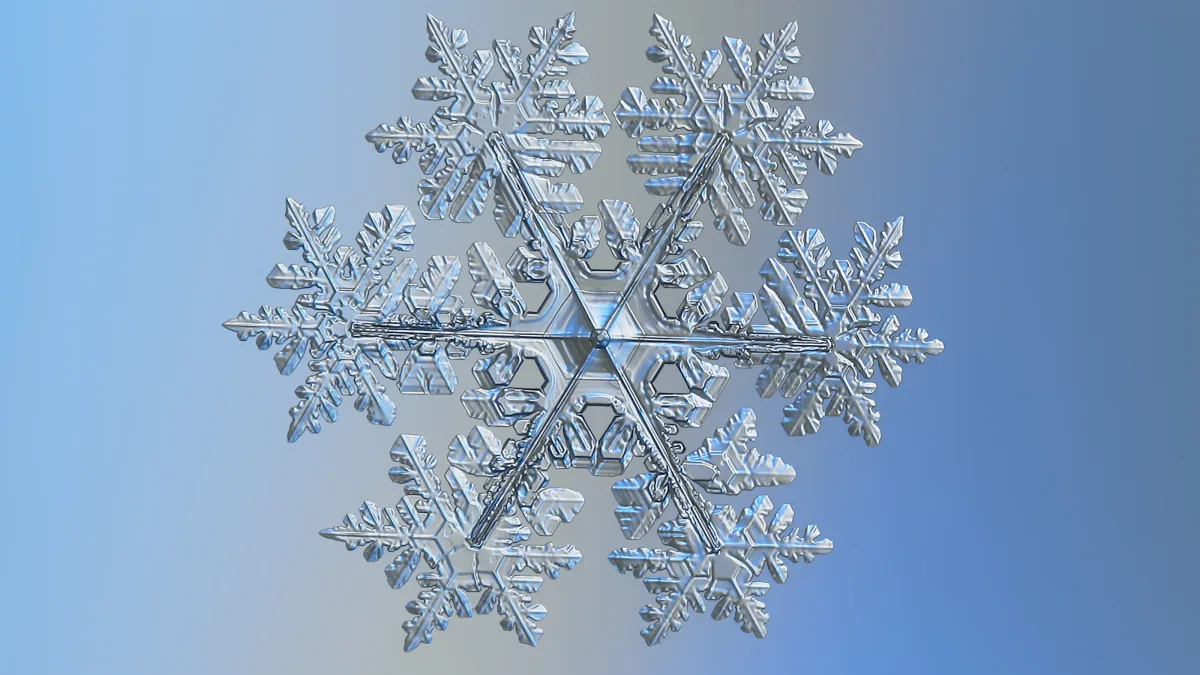 実際の雪の結晶を接写した写真。中心に六角形の板があり、そこから6本の枝が伸び、枝からさらに細かい枝が分かれている