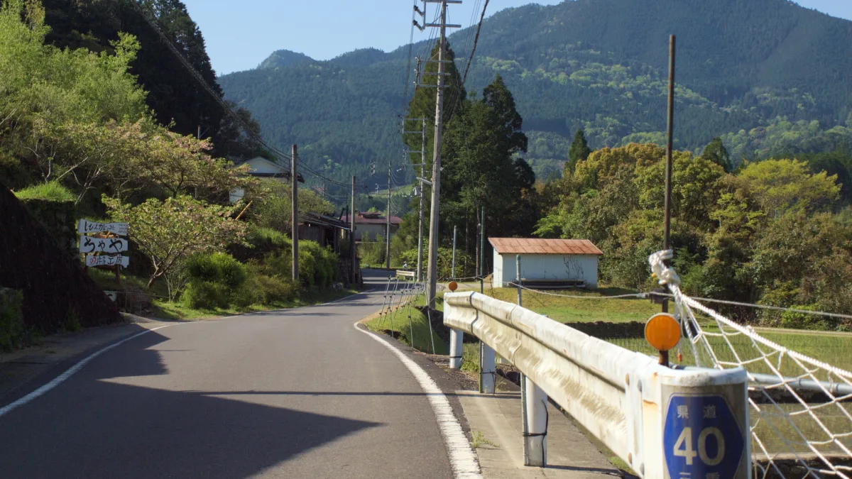 山あいを通る日本の道路。道に沿って電柱が並び、電線が空を横切って山の稜線にかかっている